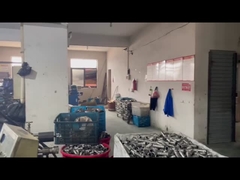 Colocación de la prensa de Zhejiang, China